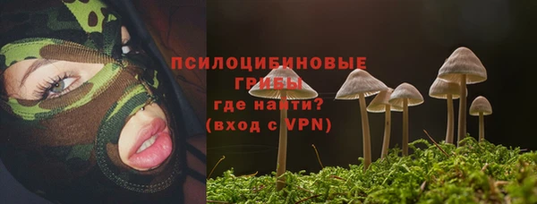 бутират Бугульма