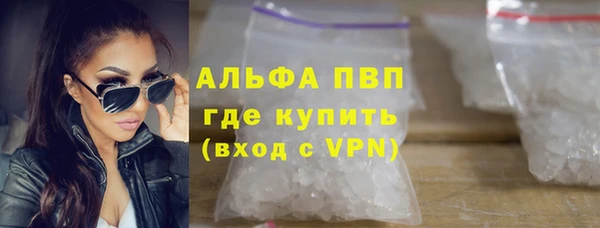 стафф Бородино