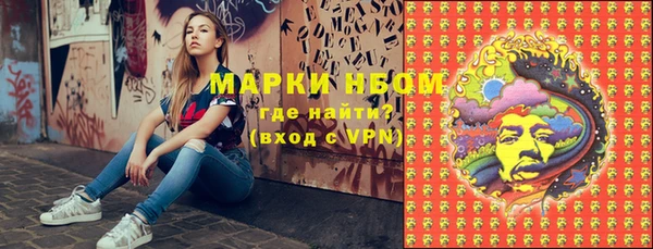 дживик Бронницы