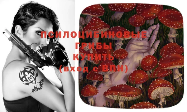 бутират Бугульма