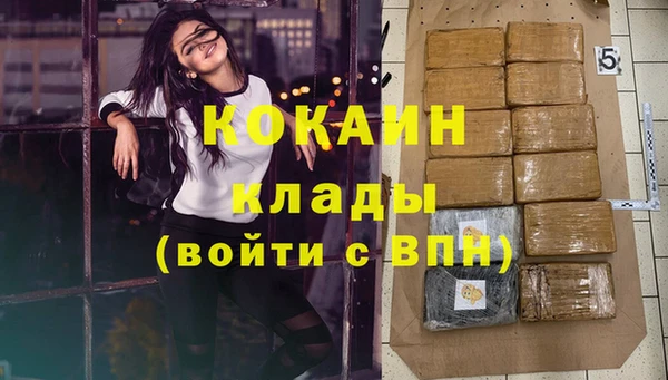 дживик Бронницы