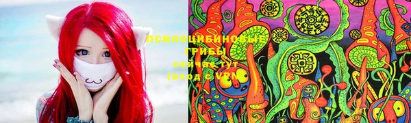 стафф Бородино