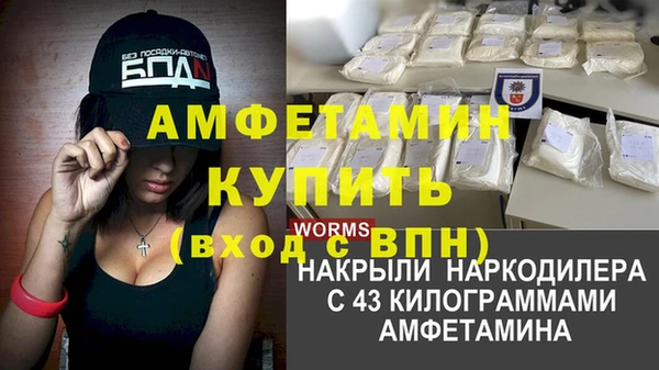 стаф Верея