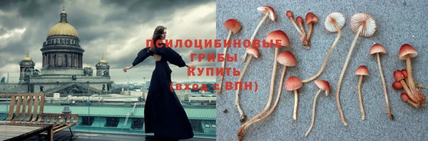 дживик Бронницы