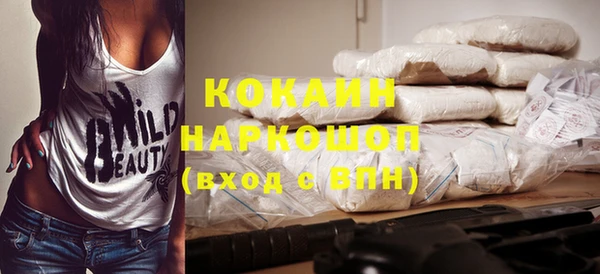 дживик Бронницы