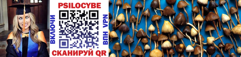 купить наркоту  Ипатово  Псилоцибиновые грибы Psilocybe 